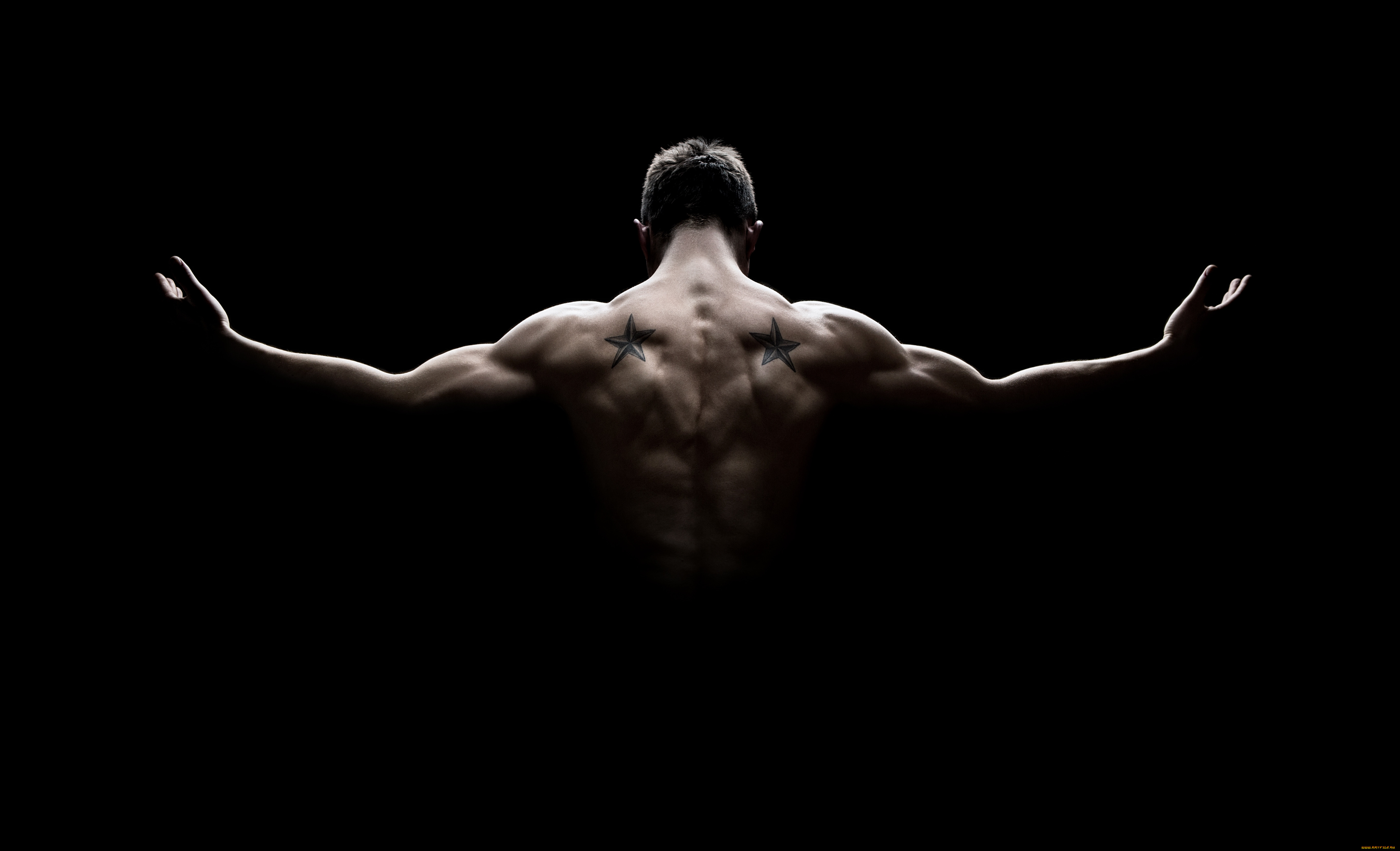 , body building, , , , , 